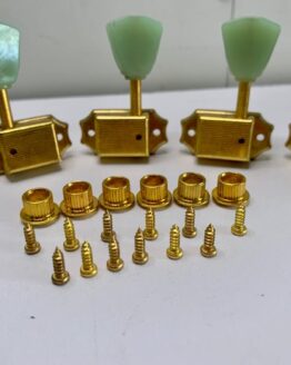 WhatsApp Image 2021-07-31 at 5.51.25 PM (3)